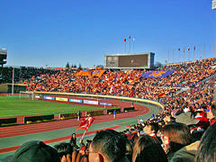 アルディージャ側ゴール裏 アルディージャ側ゴール裏の画像